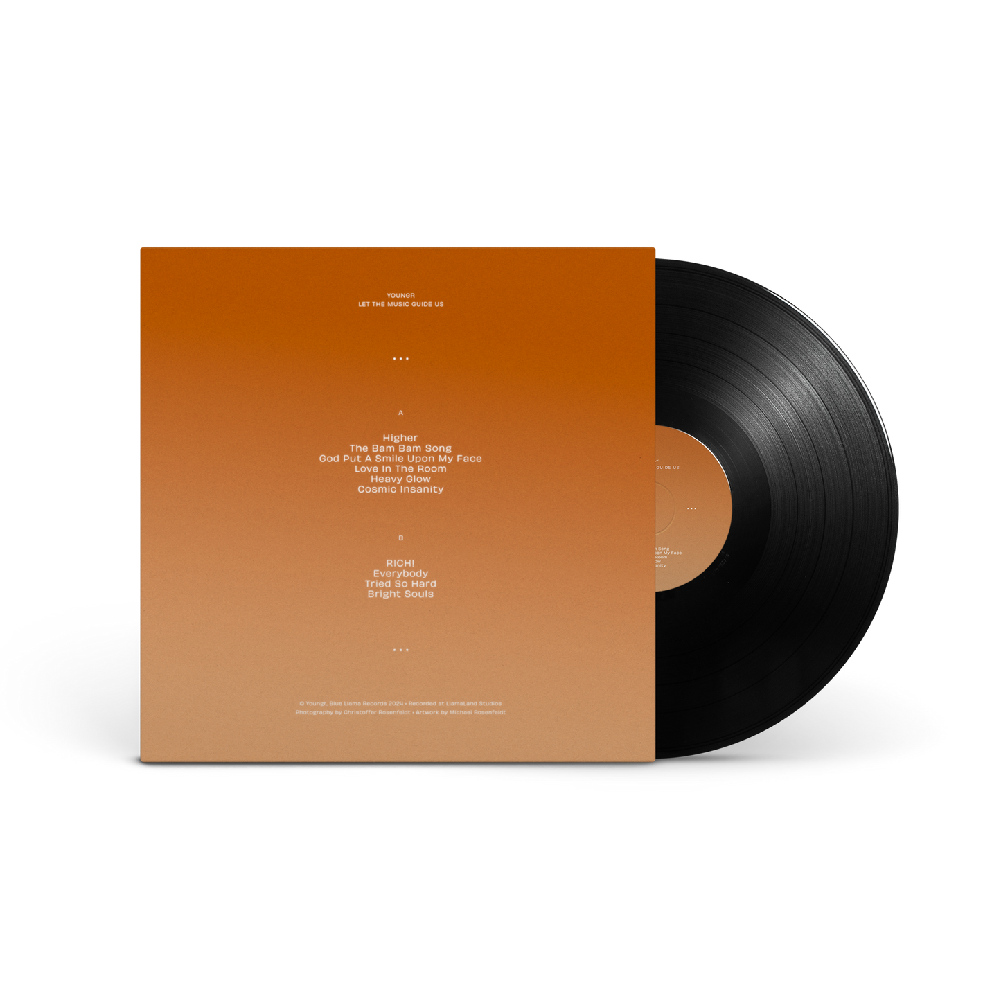 *Let The Music Guide Us (Vinyl)
